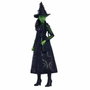 Mattel Muñeca Elphaba Thropp Wicked con accesorios