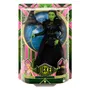 Mattel Muñeca Wicked Elphaba HXT62 con Accesorios y Ropa Removible