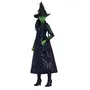 Mattel Muñeca Wicked Elphaba HXT62 con Accesorios y Ropa Removible
