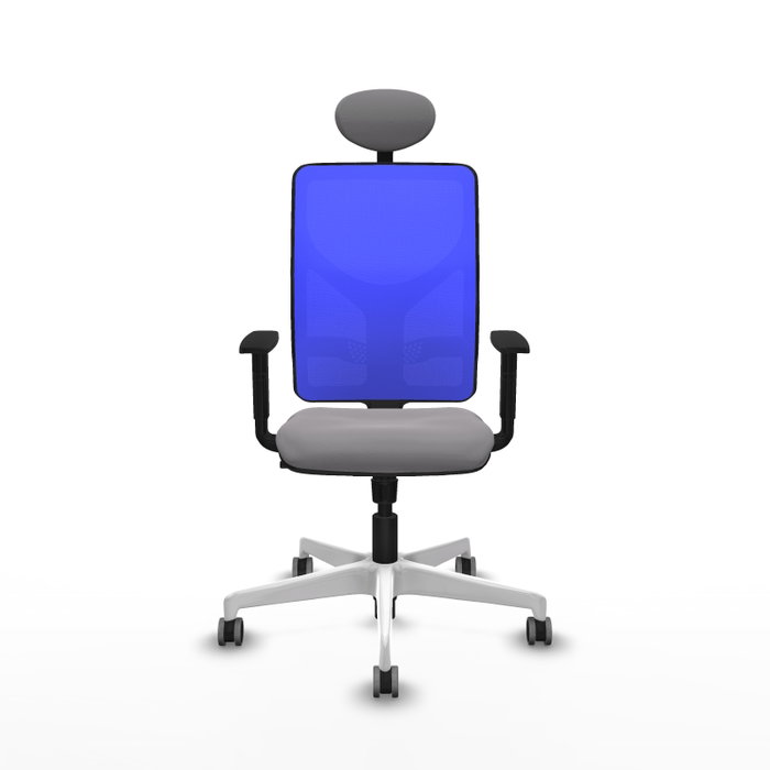 PIQUERAS Y CRESPO Silla de oficina Motilla con mecanismo Sincro, Gris y Azul