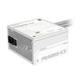 Gigabyte P650SS ICE 650W 80 Plus Silver PCIe 5.0 ATX 3.0 Fuente Alimentación 120mm EU