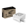Gigabyte P650SS ICE 650W 80 Plus Silver PCIe 5.0 ATX 3.0 Fuente Alimentación 120mm EU