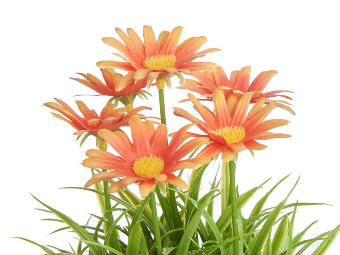 IBERGARDEN Maceta Margarita Surtidos 21x14x14 cm (Amarillo, Blanco, Violeta, Naranja) (Set de 24)