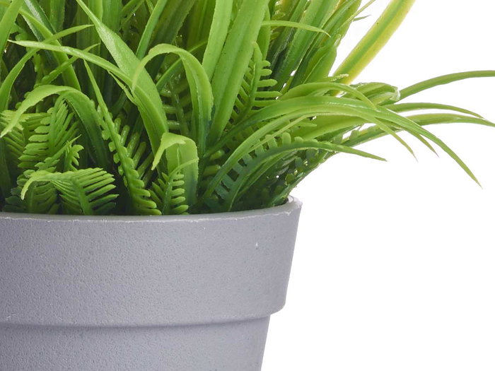 IBERGARDEN Maceta Margarita Surtidos 21x14x14 cm (Amarillo, Blanco, Violeta, Naranja) (Set de 24)