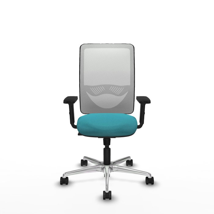 PIQUERAS Y CRESPO Silla de oficina Zulema con Mecanismo Sincro, Tela Turquesa y Malla Blanca PIQUERAS Y CRESPO Silla de oficina Zulema con Mecanismo Sincro, Tela Turquesa y Malla Blanca