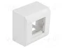 DeLOCK Carcasa de montaje en superficie para módulos Easy 45, 82 x 82 mm, Blanco