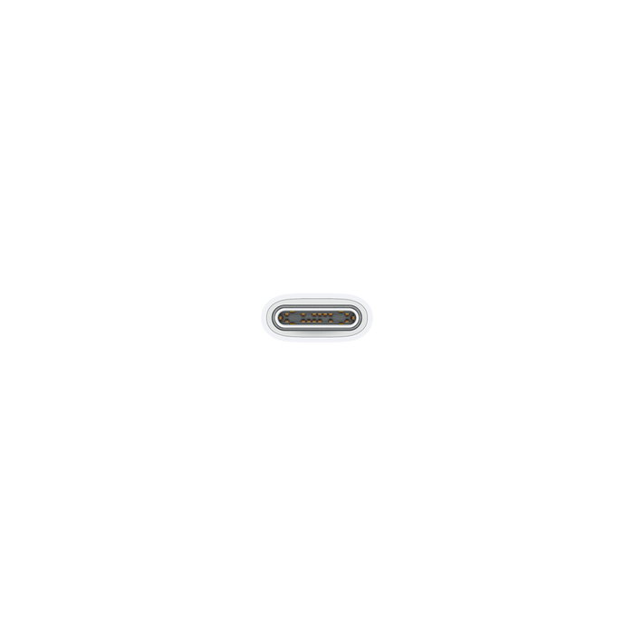 Apple Cable de Carga USB-C a USB-C Trenzado 1m Blanco