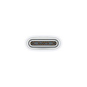 Apple Cable de Carga USB-C a USB-C Trenzado 1m Blanco