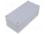 FIBOX EURONORD Carcasa Universal Gris IP66