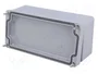 FIBOX EURONORD Carcasa Universal Gris IP66