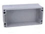 FIBOX EURONORD Carcasa Universal Gris IP66