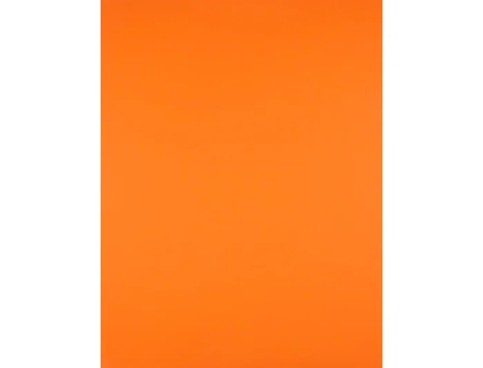 Liderpapel Cartulina 50x65 cm 180g/m2 Naranja para Dibujo y Manualidades
