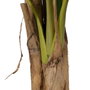 Ixia Planta Platanero Verde Decoración 280 cm