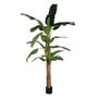 Ixia Planta Platanero Verde Decoración 280 cm