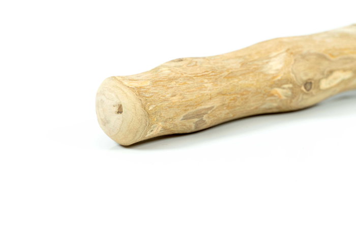 Gloria Stick Masticable Natural Madera de Café XS para Cuidado Dental de Perros