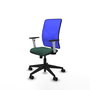 PIQUERAS Y CRESPO Silla de oficina Motilla con mecanismo Sincro Verde botella y Azul