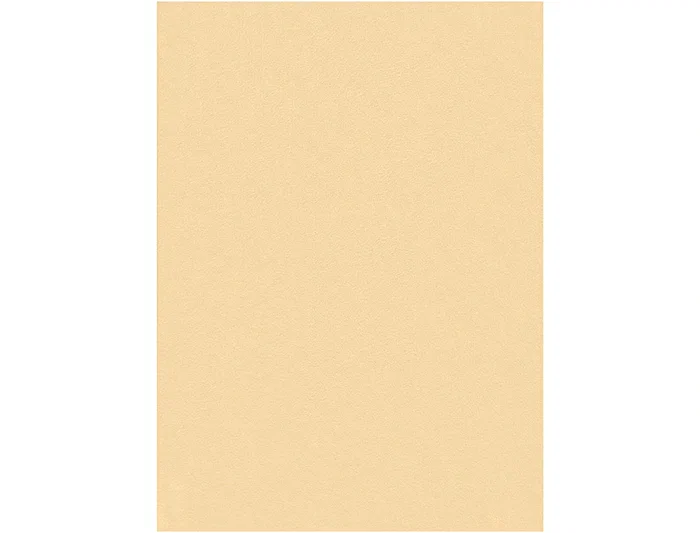 Liderpapel Fieltro 50x70cm Color Carne 160g/m2