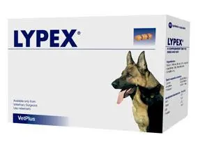 Vetplus Lypex 60 Cápsulas