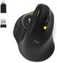 Port Designs 900719 TRACKBALL ERGO Negro