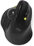 Port Designs 900719 TRACKBALL ERGO Negro