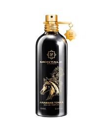 Montale Arabians Tonka Eau de Parfum 100 ml