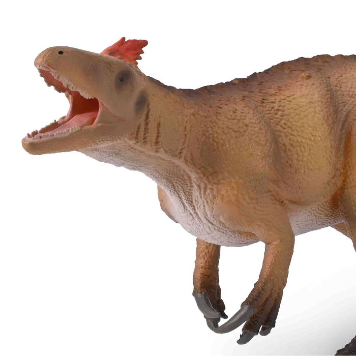 Collecta Maip Macrothorax Con Mandíbula Móvil Deluxe 1:40 -80036-Coll Figura Animales Prehistóricos Collecta Maip Macrothorax Con Mandíbula Móvil Deluxe 1:40 -80036-Coll Figura Animales Prehistóricos