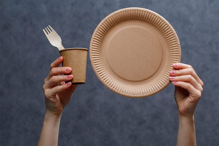 Algon Set 12 Platos Carton Kraft 18 cm (24 Unidades)