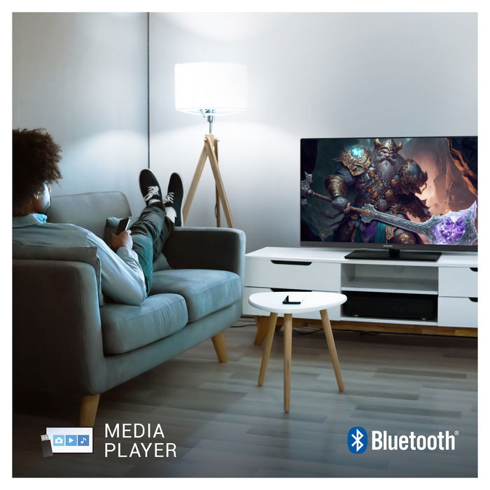 Panasonic TV-24S50AEZ Televisor 24" HD Smart TV Negro