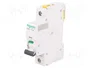 SCHNEIDER ELECTRIC Interruptor magnetotérmico iC60N 32A 1P Caract D