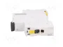 SCHNEIDER ELECTRIC Interruptor magnetotérmico iC60N 32A 1P Caract D