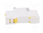 SCHNEIDER ELECTRIC Interruptor magnetotérmico iC60N 32A 1P Caract D