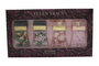 Ellen Tracy Set de 4 Fragancias Eau de Parfum de 15 ml