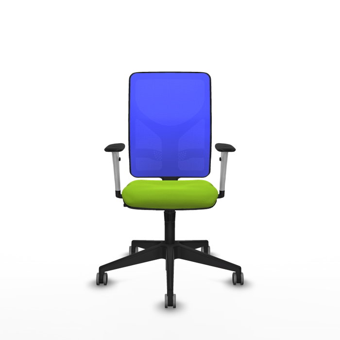 PIQUERAS Y CRESPO Silla de oficina Motilla con mecanismo Sincro, Pistacho y Azul PIQUERAS Y CRESPO Silla de oficina Motilla con mecanismo Sincro, Pistacho y Azul