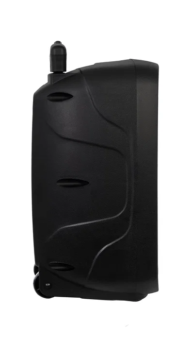 Fonestar MALIBU-308 Altavoz Portátil 100 W Negro