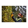 DeWALT DCMHT563N-XJ Recortadora de Setos Inalámbrica 18V