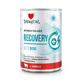 Disugual Diet Dog Recovery Cordero 6x400 gr Alimento para Perros
