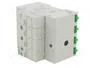 SCHNEIDER ELECTRIC Limitador de sobretensiones Easy9 EZ 3+N