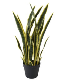 DKD Home Decor Planta Artificial Sansevieria Verde y Amarillo 30x30x76,3 cm