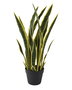 DKD Home Decor Planta Artificial Sansevieria Verde y Amarillo 30x30x76,3 cm