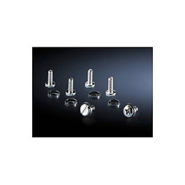 Rittal-Werk Tornillo M6 L16mm (50 piezas)