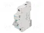 HAGER NBN110 Interruptor magnetotérmico 10A 1 Polo 10kA