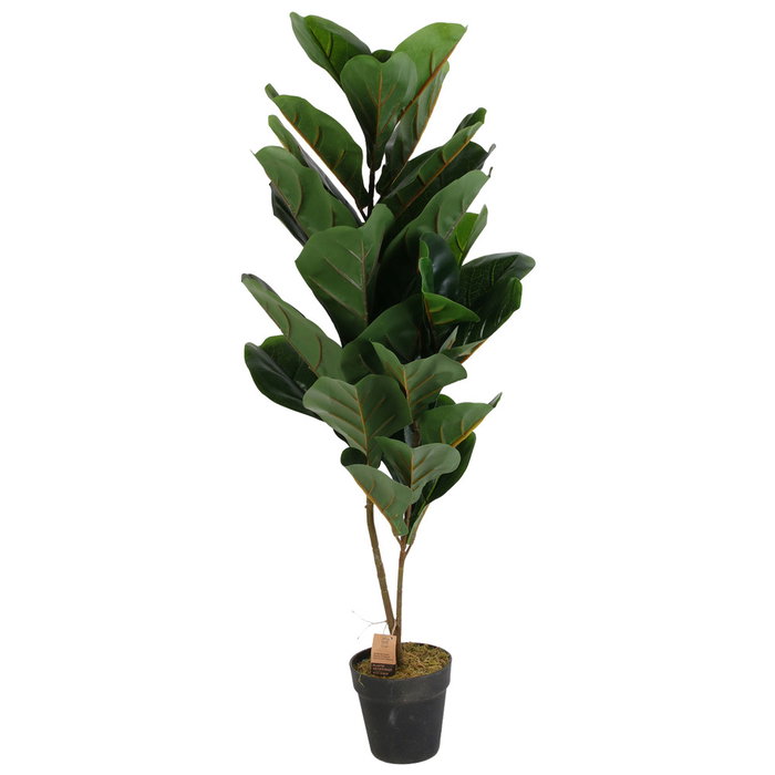 Home Deco Factory Planta Artificial de Interior 90 cm de Altura Decoración Hogar