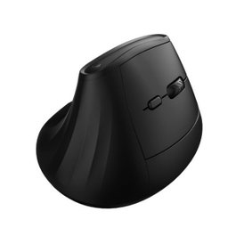 Ewent EW3208 Ratón Inalámbrico Ergonómico Negro