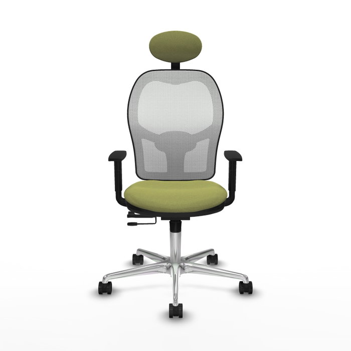 PIQUERAS Y CRESPO Silla de oficina Jorquera con mecanismo Sincro/Traslack, Verde oliva y Blanco PIQUERAS Y CRESPO Silla de oficina Jorquera con mecanismo Sincro/Traslack, Verde oliva y Blanco