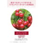 Melvita L'OR ROSE Aceite Seco Reafirmante 50 ml