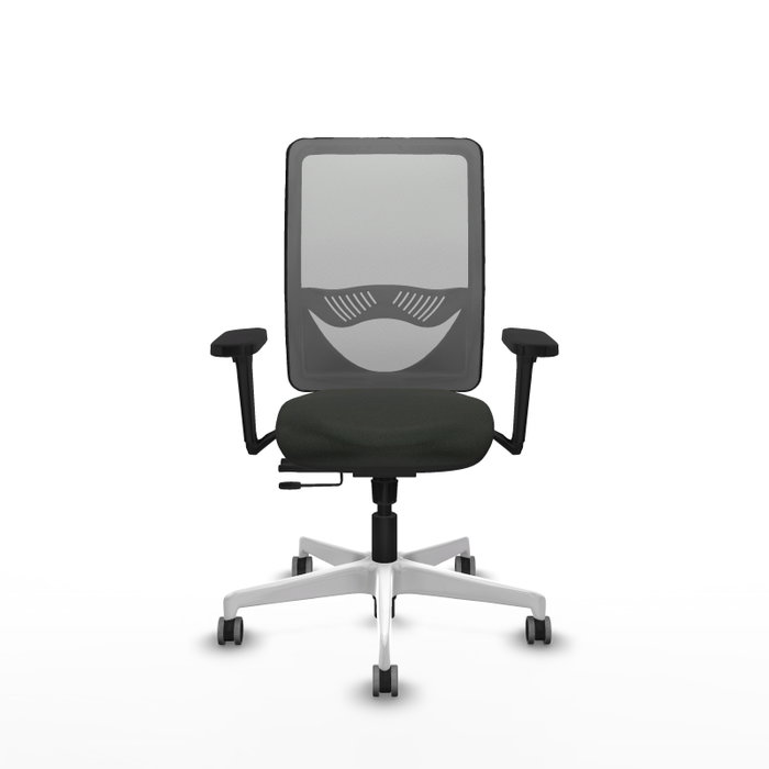 PIQUERAS Y CRESPO Silla de oficina Zulema con mecanismo Sincro/Traslack, Brazos 3D y Malla Gris/Tela Negra PIQUERAS Y CRESPO Silla de oficina Zulema con mecanismo Sincro/Traslack, Brazos 3D y Malla Gris/Tela Negra