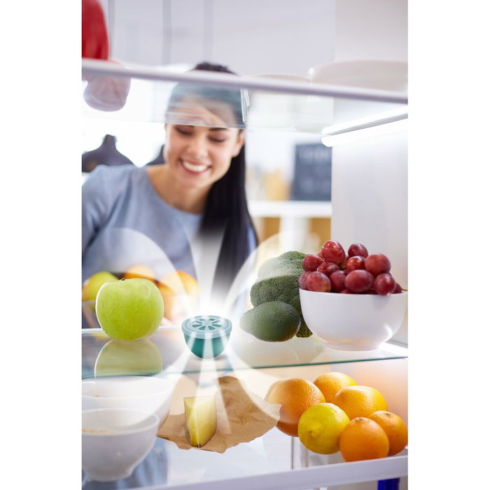 Eliminador de Olores Meliconi 621030 Verde