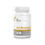 VET EXPERT VET Vetaminex 60 Cápsulas Blandas