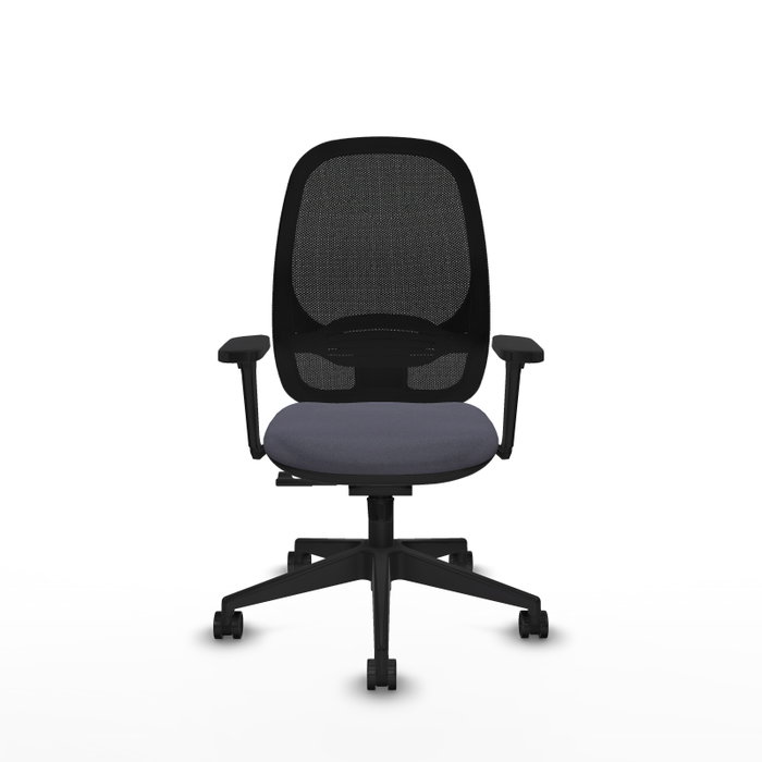 PIQUERAS Y CRESPO Silla de oficina Cilanco con mecanismo Sincro, Gris oscuro y Negro PIQUERAS Y CRESPO Silla de oficina Cilanco con mecanismo Sincro, Gris oscuro y Negro
