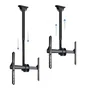 TooQ LPCE1170TSLI-B Soporte de Techo Giratorio, Inclinable y Nivelable para TV de 37 a 70 Pulgadas, Hasta 50 kg